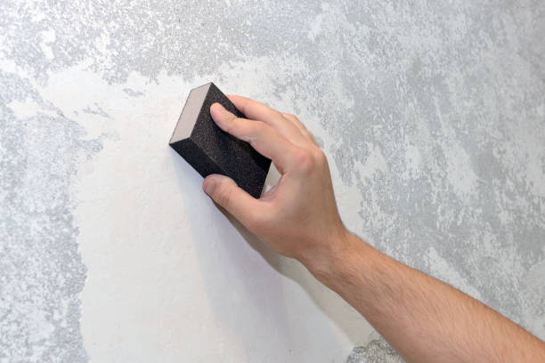 Mold Odor Removal Services in Surrey, ND