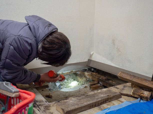 Best Comprehensive Air Testing for Mold Contaminants  in Surrey, ND