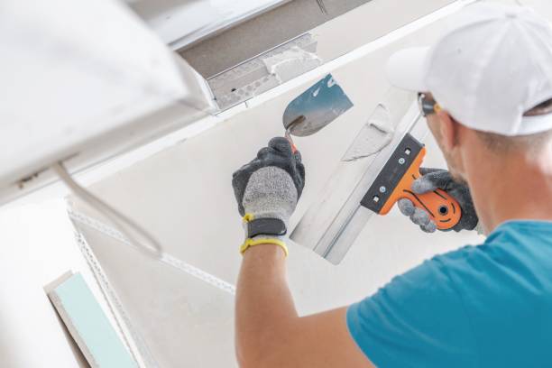 Best Residential Mold Inspection & Testing  in Surrey, ND